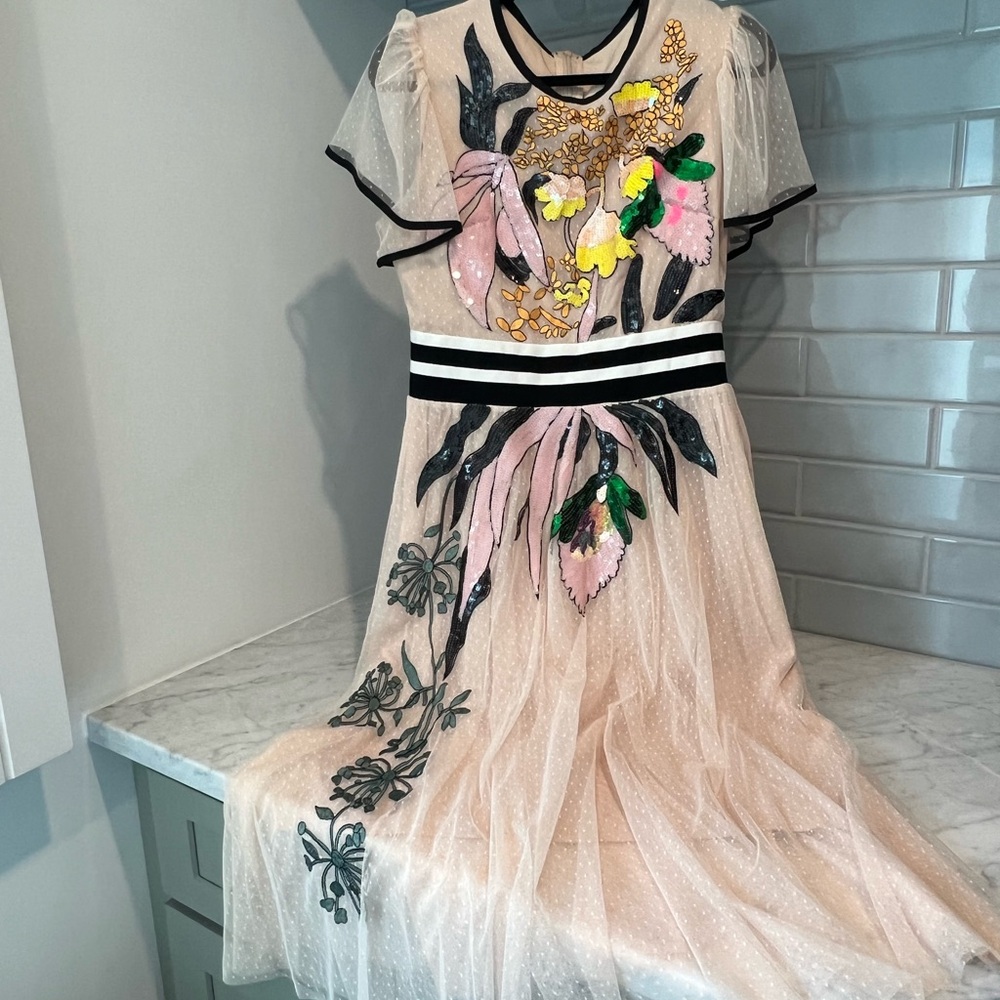 Floral Embroidered Pink Tulle Dress